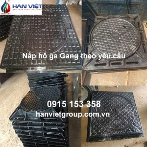 nap ho ga theo yeu cau