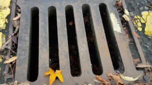 song chan rac composite