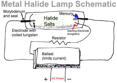 so do hoat dong cua den halogen