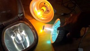 den halogen sieu sang, den cao ap va den hoi thuy ngan